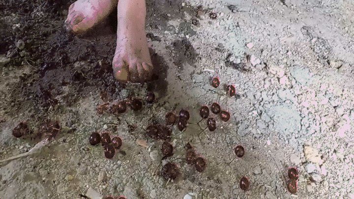 Appetizing Crumpet - Dirty feet from crushed berries MP4