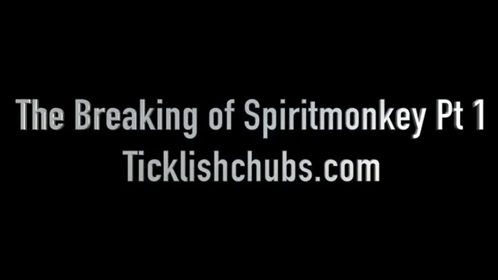 Ticklishchubs - The Breaking of Spiritmnkey Pt 1