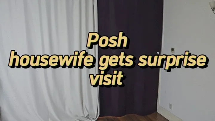 Blackswann Productionsuk - Couple wrestling - Posh housewife gets a surprise visit