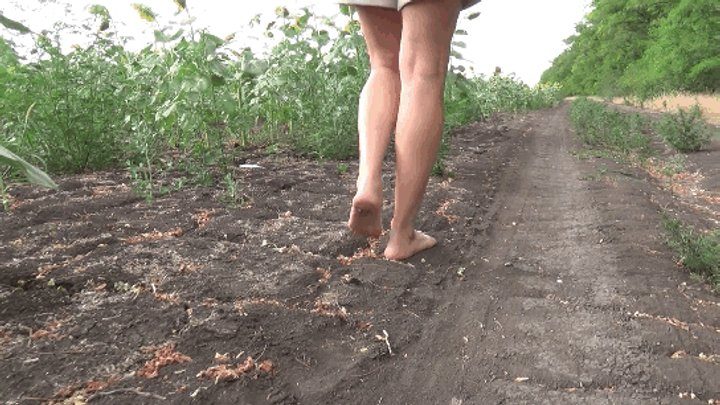 The Fantastic Evelina's World - WALKING ON A DIRTY ROAD