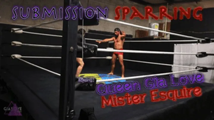 Fine Fetish Films - Submission Sparring (MP4 1080P)