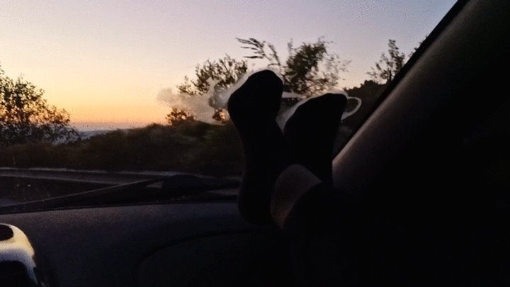 My Fetish Fantasies - Extremely sweaty socks
