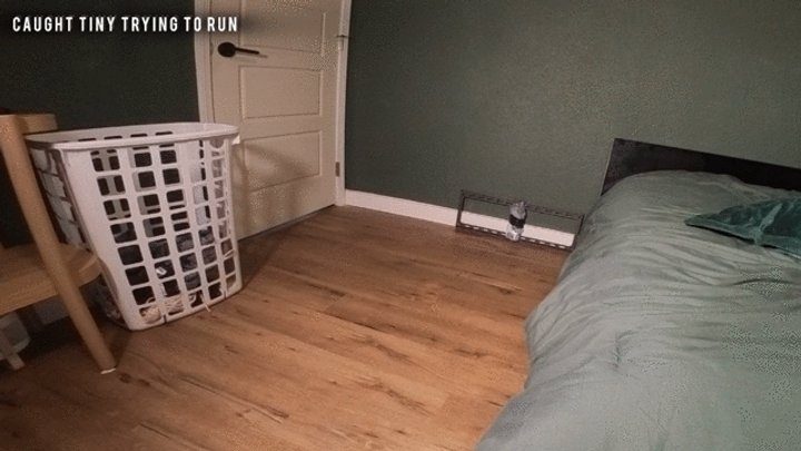 Ebonybooty49 - Gassy Ebony Caught tiny trying to RUN