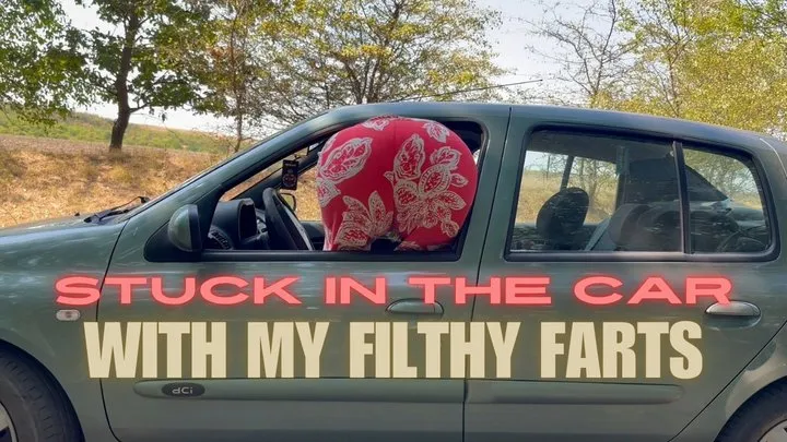 Your Fantasy Store - Stuck In The Car With My Filthy Farts