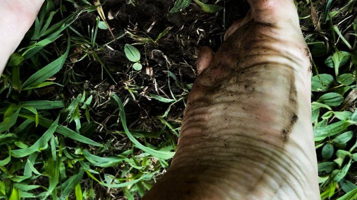 Nyx Noctem - Outdoor Dirty Feet