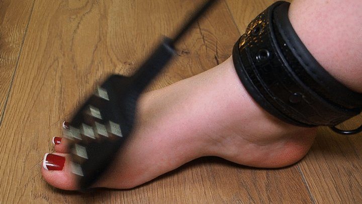 Anastasia Gree Clip Store - Goddess and Queen: Worship My Foot Size 40 Forever