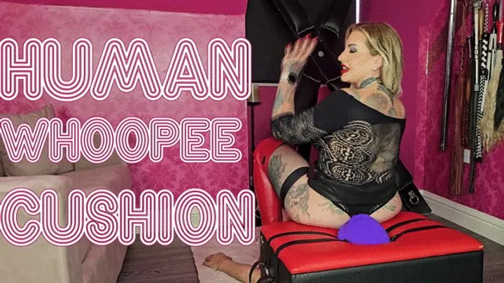 Mistress Ava Von Medisin - Human Whoopee Cushion