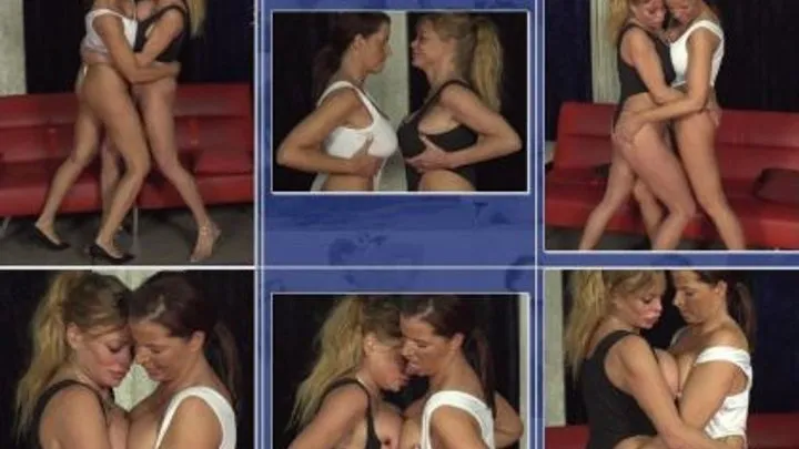 Catfight-corner Clip Store - E-C-C 451 