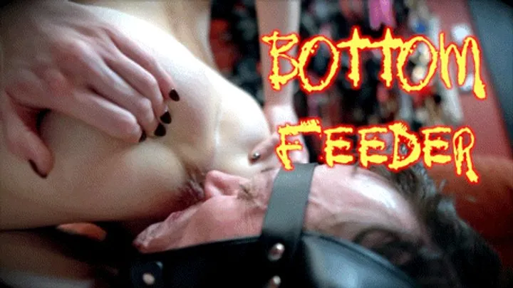 Domina Planet - Bottom Feeder (HD 1080P MP4)