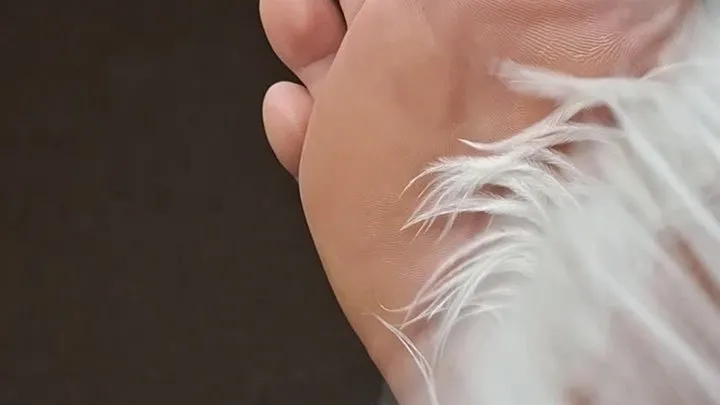 Sexysassquatchsize15 - Feather tickling