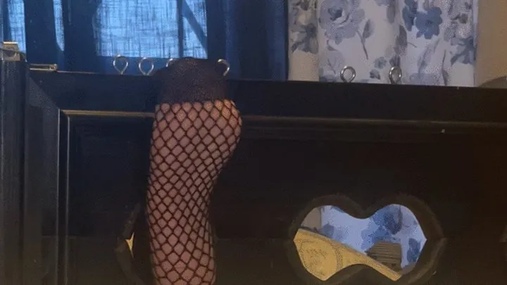 Foot Fondling - Kitty Gets Harmony in Her Stocks