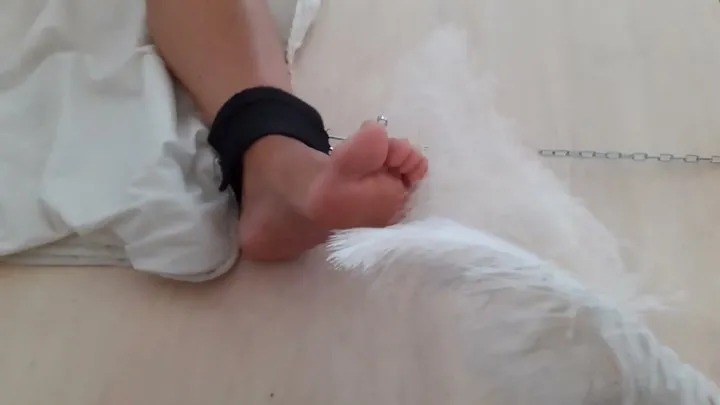 Smwife - Only feet tickling scenes compilation 6 in various Superfox's adventures - unpublished