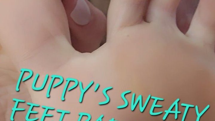 Feet 4 Me - PUPPY'S SWEATY FEET PARADISE!