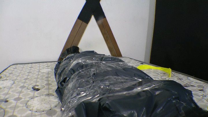 Ms Fetish Studio - EBONY GIRL SITTING AND CONTROL MY SLAVES BY VERONICA LINS AND VITORIA VONTESSE CAM BY ALINE FULL HD