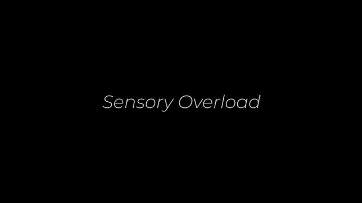 The Lady Platinum - Sensory Overload