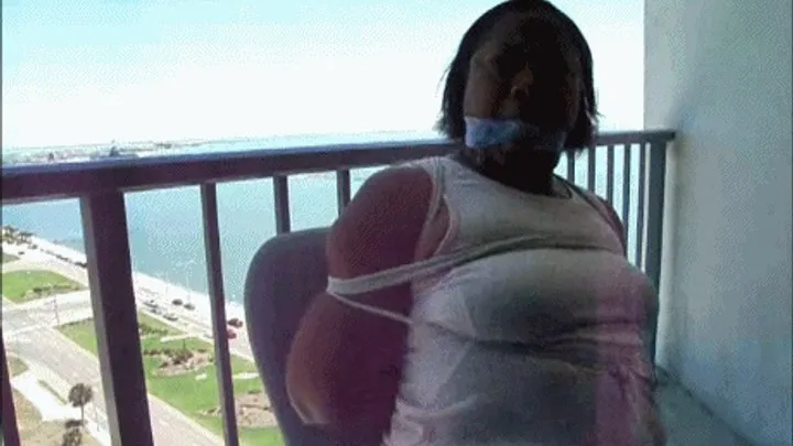 Blackfoxbound Clip Store - Room With a View