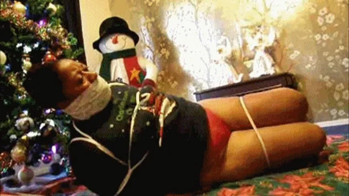 Blackfoxbound Clip Store - Hogtie Wonderland