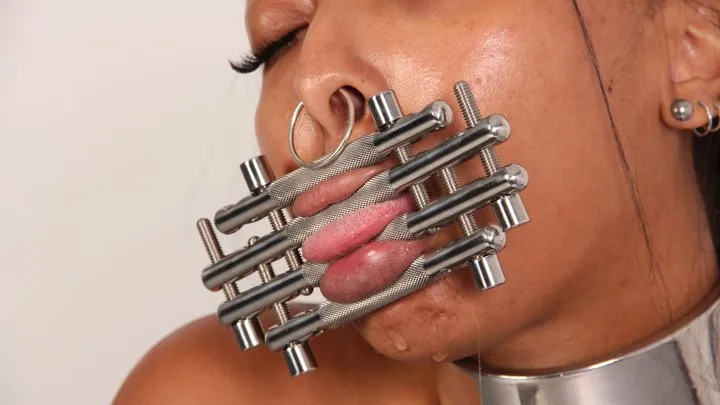 Metalbondage Clip Store - Thiccy Niccy – the Lips & Tongue Press