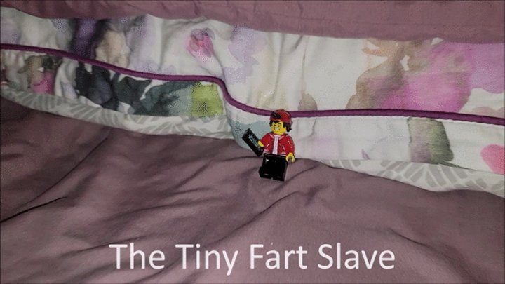 Miss Squish Ssbbw - The Tiny Fart Slave
