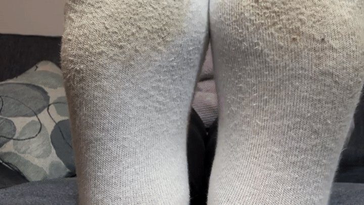 Goddess Alya Reign - Silently Worship These Soiled Soles - Goddess Alya mesmerizes in this sexy foot ignore clip featuring soiled socks, dirty socks, foot worship, silence, and more