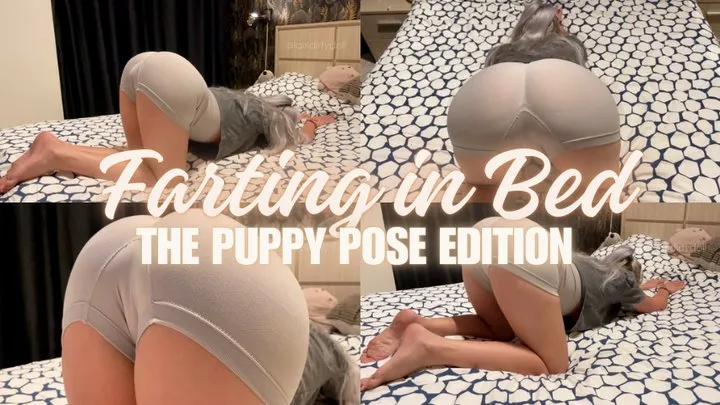 Iamdirtydoll - Farting in Bed: The Puppy Pose Edition