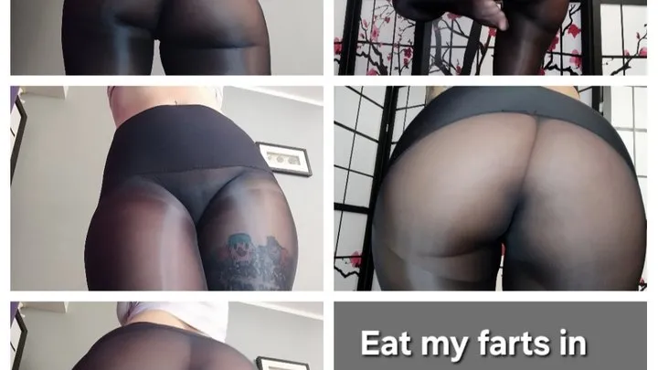 Xiomara Fox Fetish Queen - Eat my farts in pantyhose