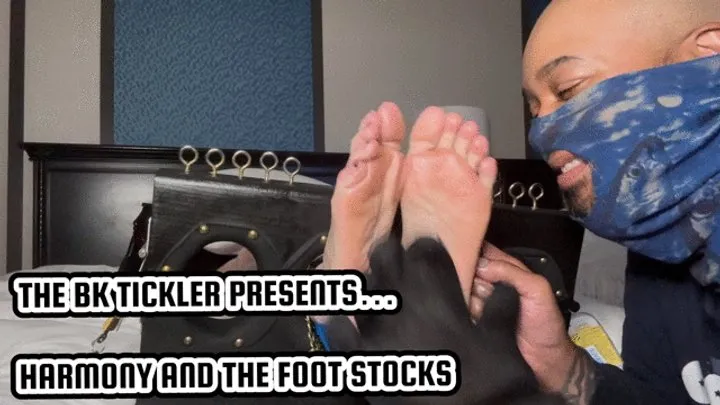 The Bk Tickler - HARMONY AND THE FOOT STOCKS