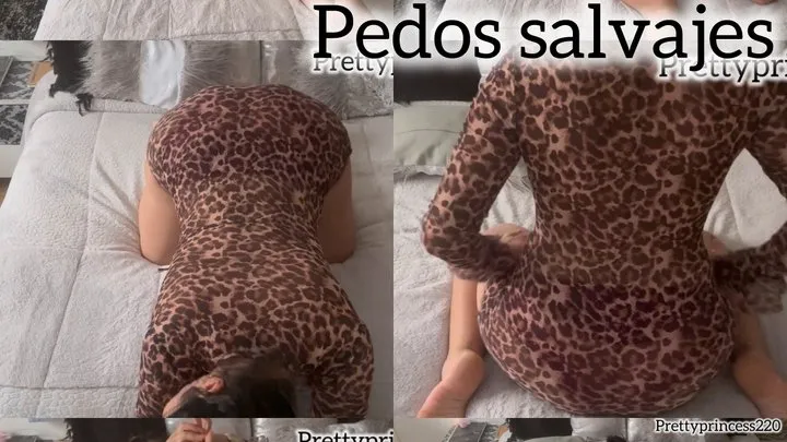 Prettyprincess - Gas malo