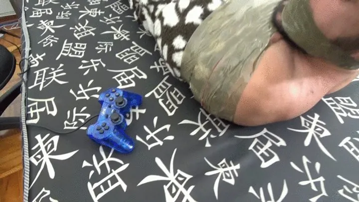 Ms Fetish Studio - HOT GAMER DOMINATION WITH FARTS BY VITORIA VONTESSE AND DANIEL SANTIAGO (CAM BY ALINE) FULL HD