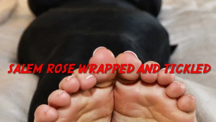 The Devils Footstool - Salem Rose Wrapped and Tickled