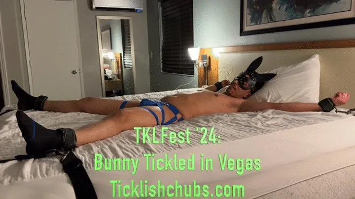 Ticklishchubs - TKLFest '24: Bunny Tickled in Vegas