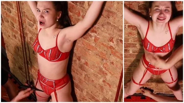 Fetish Line - TO SCREAM FROM TICKLING (FHD)