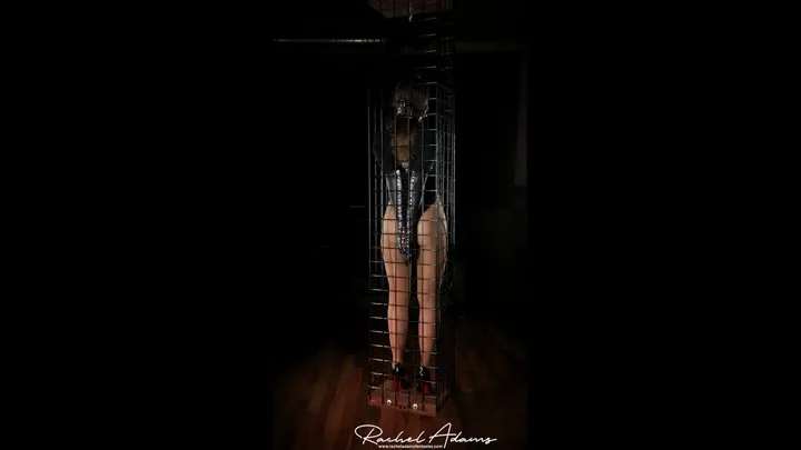 Rachel Adams Fantasies - suspended in the cage