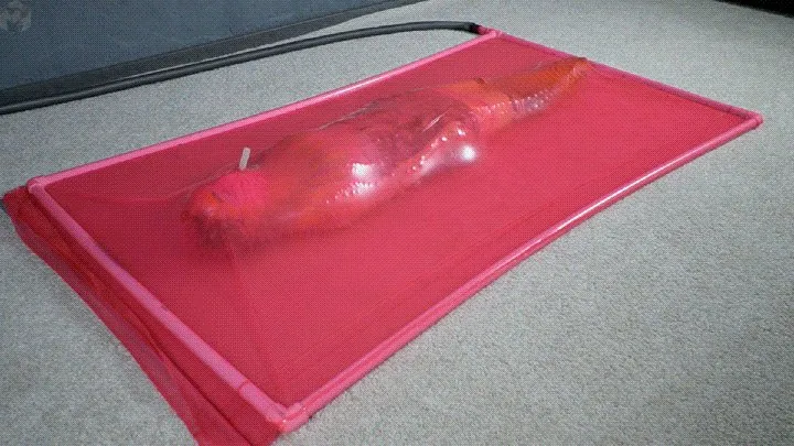 Vacuum Dreams - Attack of the caterpillar part 3