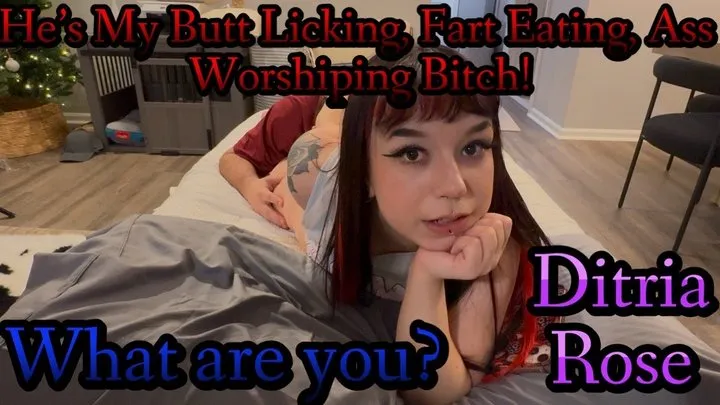 Fetish Nature Films - He's My Fart Eating Slave! What Are You? (POV-Cuckhold) - Ditria Rose
