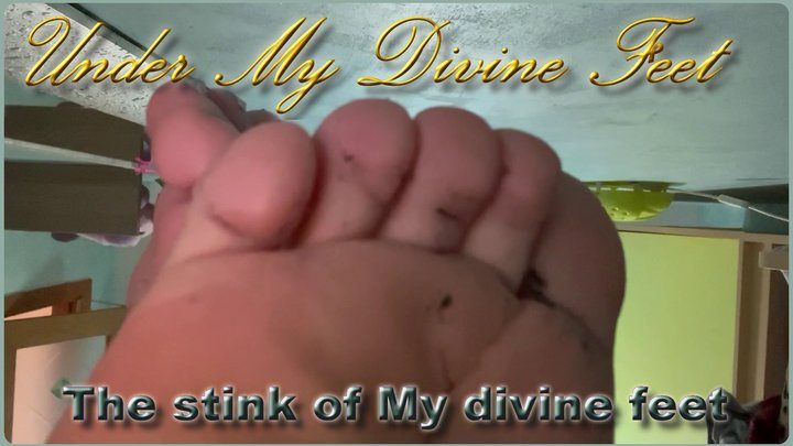 Under My Divine Feet - The stink of My divine feet