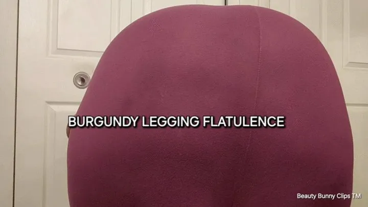 The Rabbit Hole - BURGUNDY LEGGING FLATULENCE