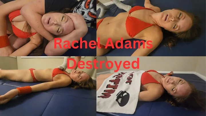 Djsleepyproductions - The Skull Squashes Rachel Adams