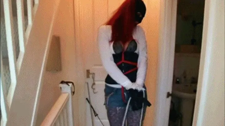 Blackfoxbound Clip Store - Training Autumn Red