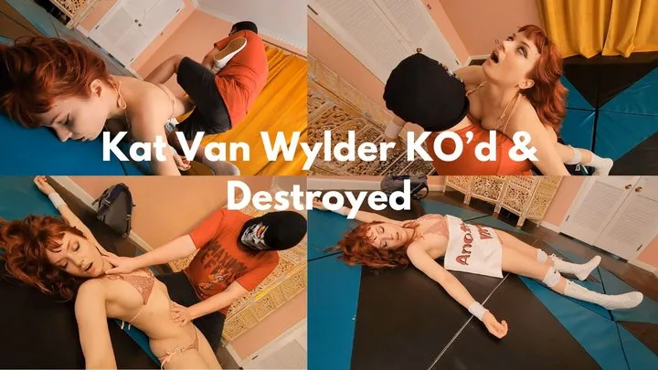 Djsleepyproductions - The Skull Destroys Kat Van Wylder Final