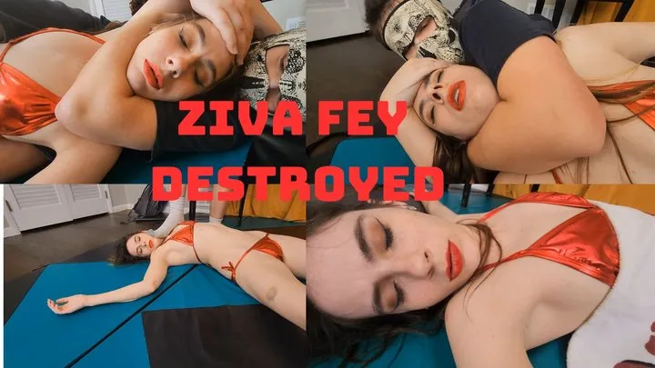 Djsleepyproductions - The Skull Destroys Ziva Fey