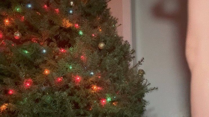 Goddesselena00 - Giantess Elena Candy Cane feet!