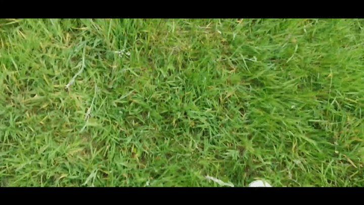 Madsoles - Picnic Bench Perv