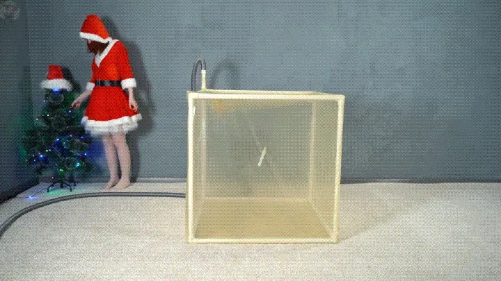 Vacuum Dreams - Dreams come true or Sonya in a transparent cube