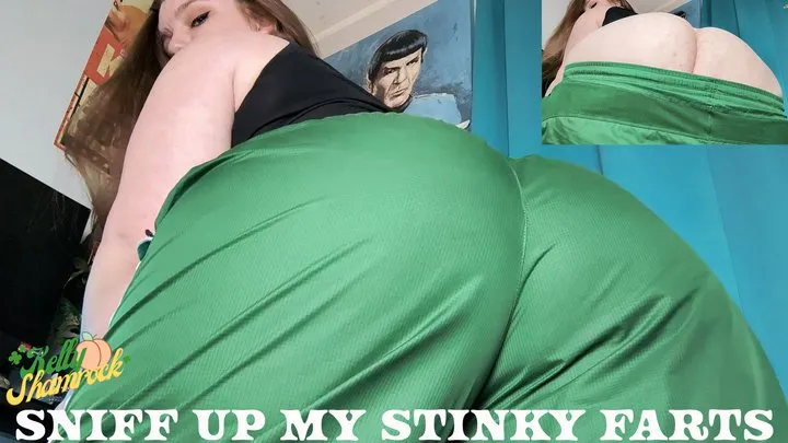 Kelly Shamrock - Sniff Up My Stinky Farts