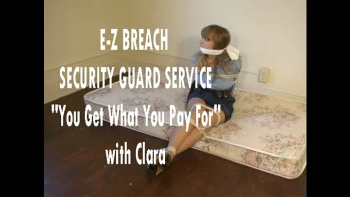 Bondage Stories - E-Z Breach Security Service, “You Get What You Pay For”