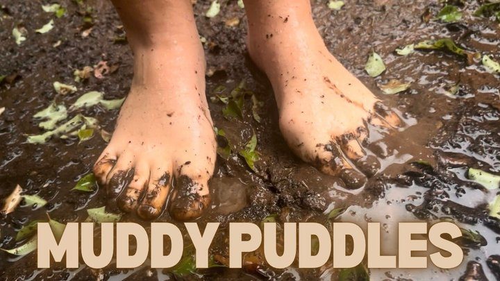 The Prime Alpha - Muddy Puddles