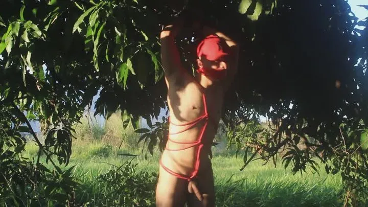 Brazilianbondageboys - Athletic boy in red cap captured in the wild (Part 3)