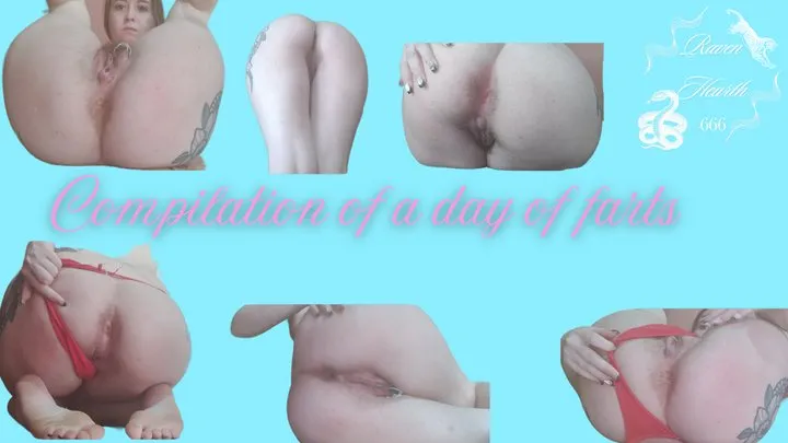 Ravenhearth666 Brisa - Compilation of farts