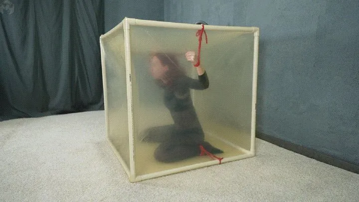 Vacuum Dreams - Bondage with red ropes to a transparent cube